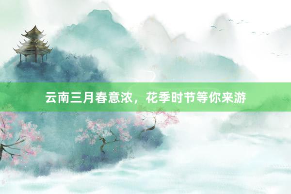 云南三月春意浓，花季时节等你来游